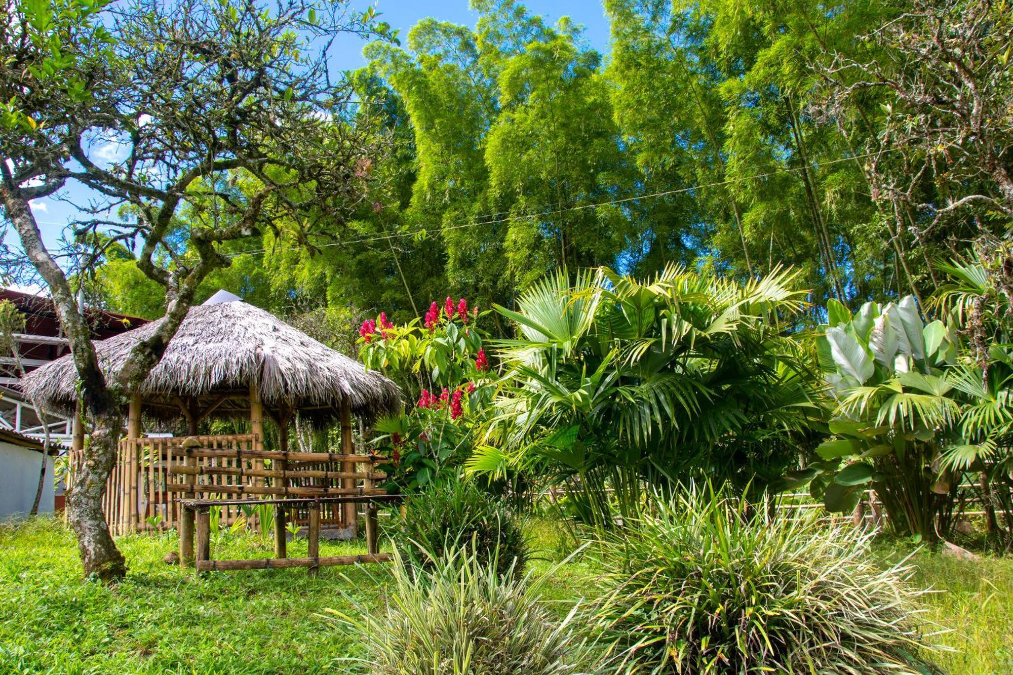 Secretos Del Eden Hotell Ruiosucio Eksteriør bilde